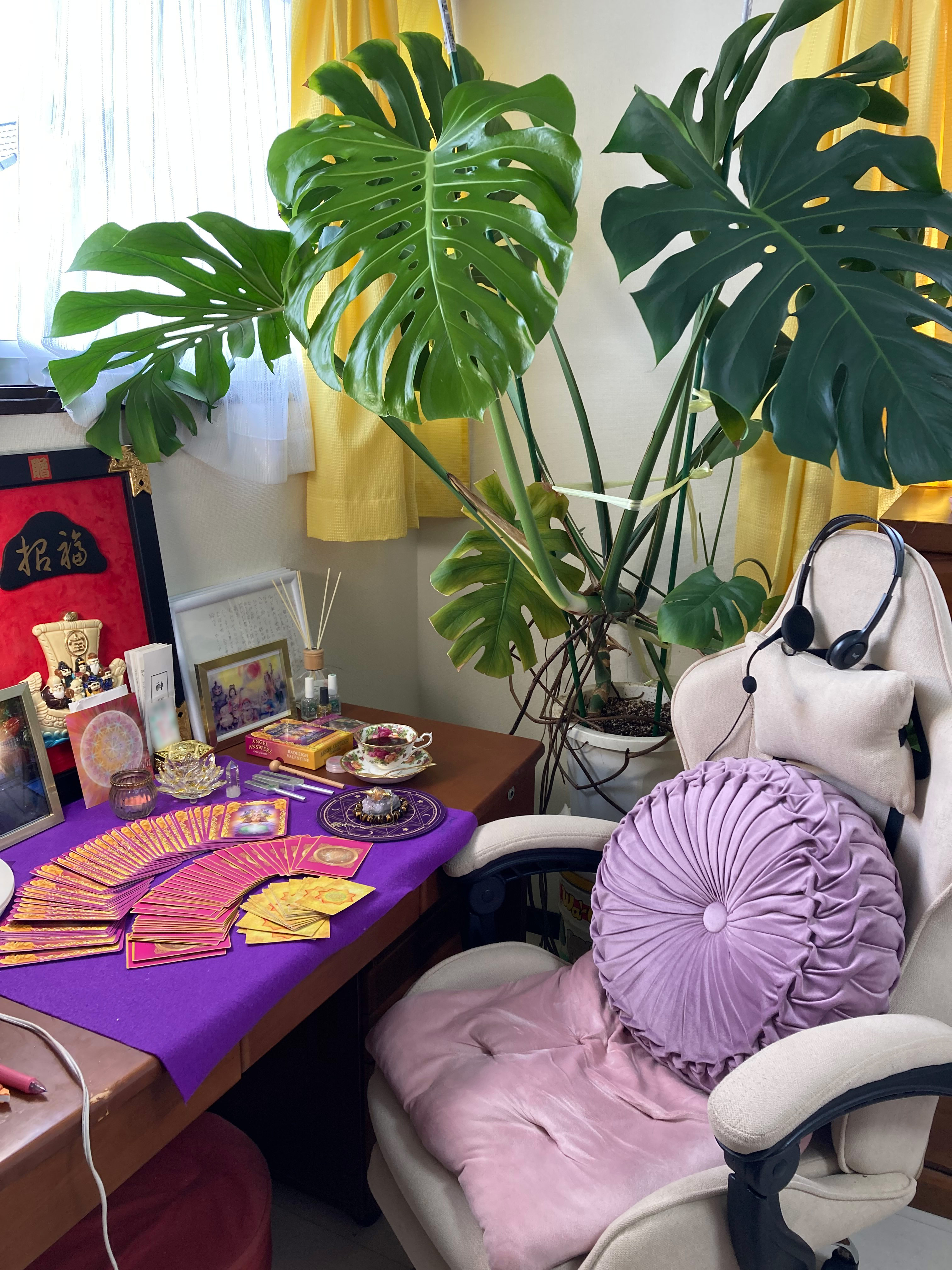 占い師雅美のお気に入り写真2